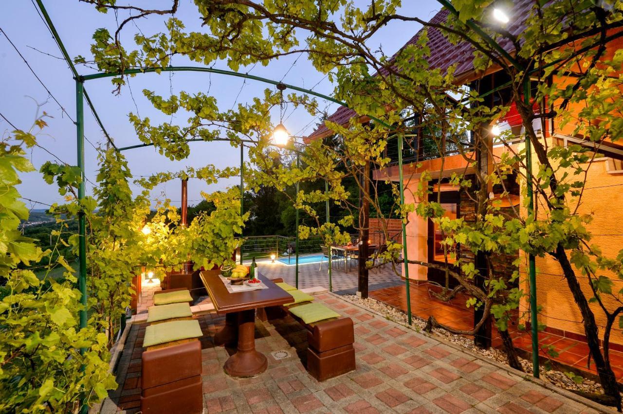 Juras Country House, Bazen, Sauna ,Hot Tube,Vrt Sveti Ivan Zelina Exterior foto