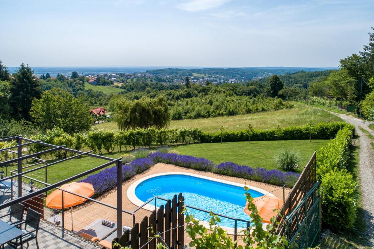 Juras Country House, Bazen, Sauna ,Hot Tube,Vrt Sveti Ivan Zelina Exterior foto