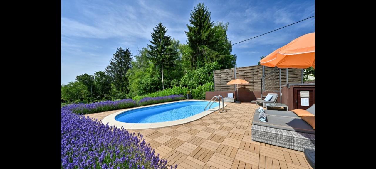 Juras Country House, Bazen, Sauna ,Hot Tube,Vrt Sveti Ivan Zelina Exterior foto