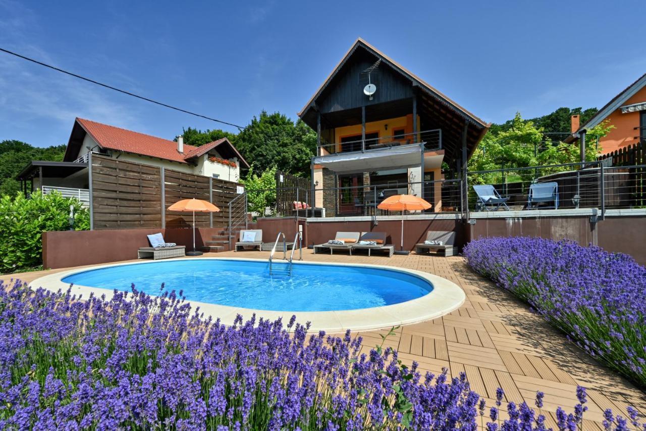 Juras Country House, Bazen, Sauna ,Hot Tube,Vrt Sveti Ivan Zelina Exterior foto